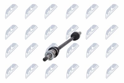 PLANETARA NTY NPWCH094 36