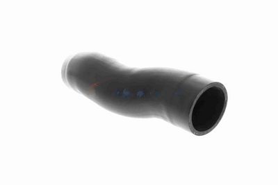 FURTUN EAR SUPRAALIMENTARE ACKOJA A529602 7