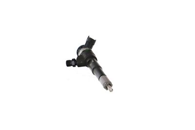 INJECTOR REMANTE 002003001494R 57