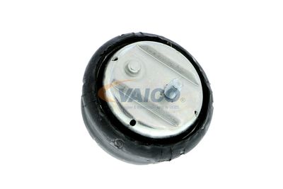 SUPORT MOTOR VAICO V2010261 11