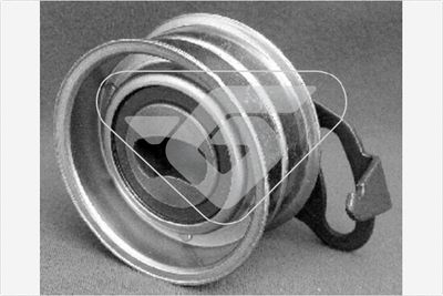 ROLA GHIDARE/CONDUCERE CUREA DISTRIBUTIE