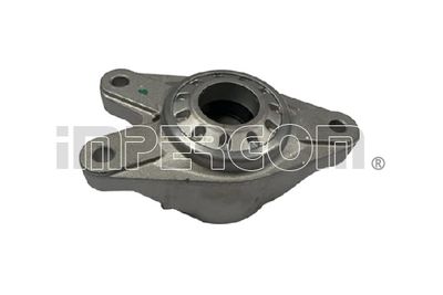 FEDERBEINSTüTZLAGER