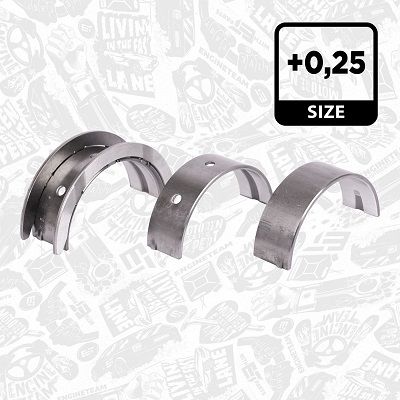 SET RULEMT ARBORE COTIT ET ENGINETEAM LH004825 2