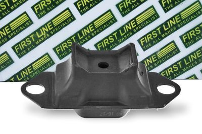окачване, двигател FIRST LINE FEM4287