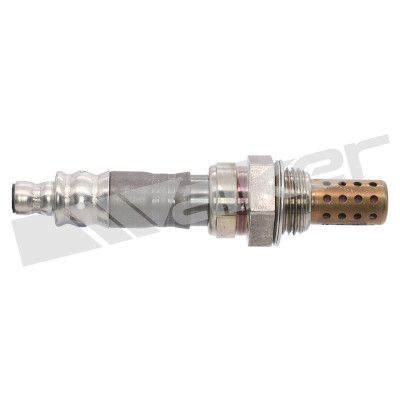 LAMBDASONDE WALKER PRODUCTS 25024509 1