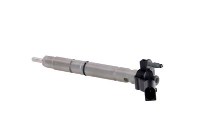 INJECTOR REMANTE 002003001138R 17