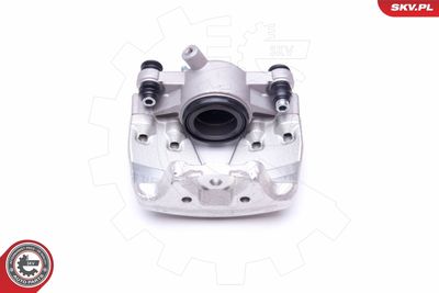 Brake Caliper 44SKV212