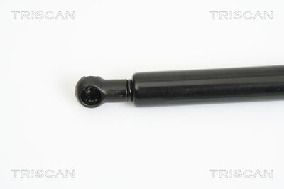AMORTIZOR CAPOTA TRISCAN 871011115 1