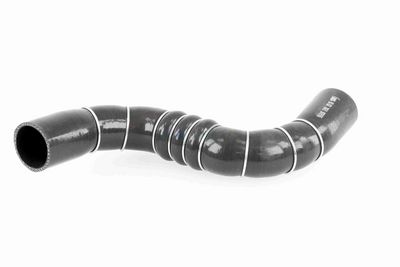 FURTUN EAR SUPRAALIMENTARE ACKOJA A389602 5