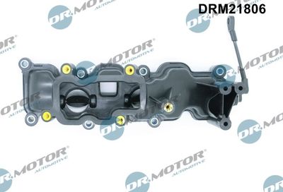 Intake Manifold Module DRM21806