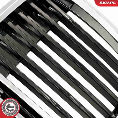 GRILA RADIATOR ESEN SKV 66SKV148 5