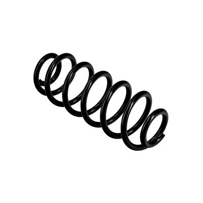 ARC SPIRAL EIBACH R10141 22