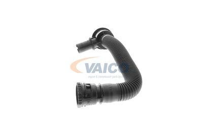 FURTUN EAR SUPRAALIMENTARE VAICO V202325 13