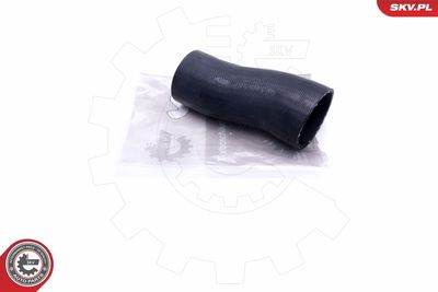 FURTUN EAR SUPRAALIMENTARE