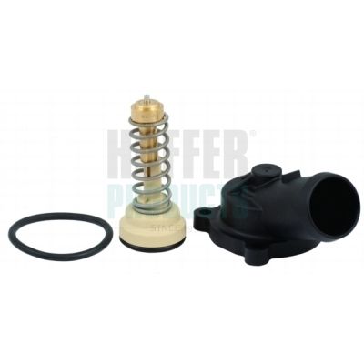 TERMOSTAT LICHID RACIRE