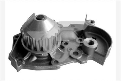водна помпа, охлаждане на двигателя HUTCHINSON WP0053V