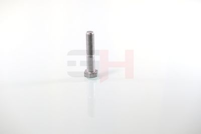 SURUB CAPAT DE AX GH GH392360 5