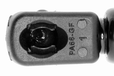 GASFEDER KOFFER-/LADERAUM VAICO V240499 2