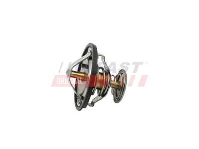 TERMOSTAT LICHID RACIRE