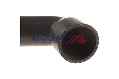 FURTUN EAR SUPRAALIMENTARE BOGAP B1711130 4