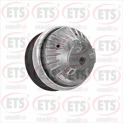 окачване, двигател ETS 15.EM.100