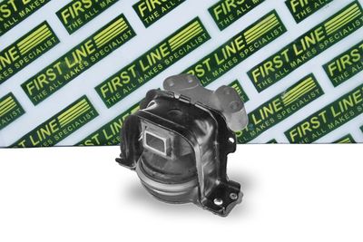 окачване, двигател FIRST LINE FEM4212