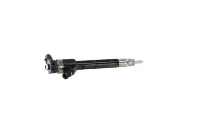 INJECTOR REMANTE 002003002220R 35