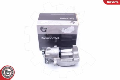 Brake Caliper 44SKV653