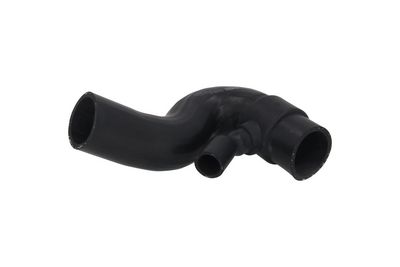 FURTUN EAR SUPRAALIMENTARE