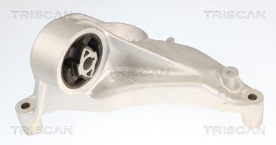 окачване, двигател TRISCAN 8505 81103