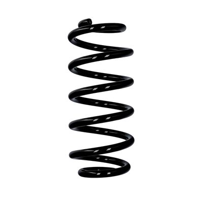 ARC SPIRAL EIBACH R10137 25
