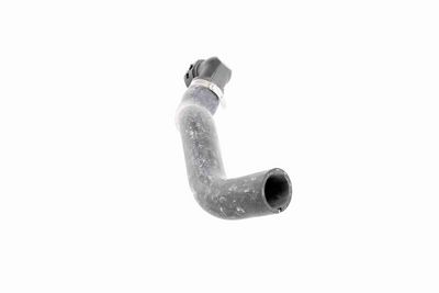 FURTUN RADIATOR VAICO V240876 3