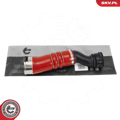 FURTUN EAR SUPRAALIMENTARE