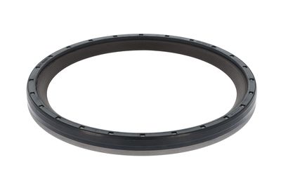 Shaft Seal, crankshaft 19037207B