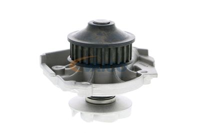 WASSERPUMPE MOTORKüHLUNG VAICO V2450002 56