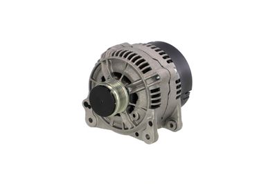 GENERATOR / ALTERNATOR REMANTE 011003000482R 61