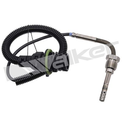 Sensor, de temperatura de gas de escape