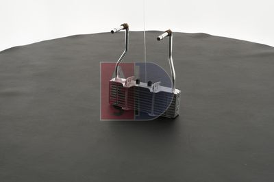 ÖLKüHLER MOTORöL AKS DASIS 066000N 1