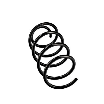 ARC SPIRAL EIBACH R10489 12