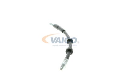 FURTUN FRANA VAICO V959582 13