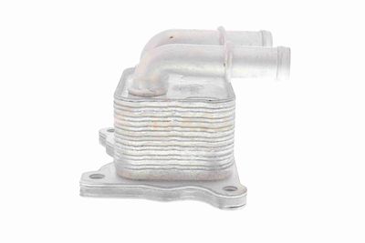 RADIATOR ULEI ULEI MOTOR ACKOJA A38600004 8