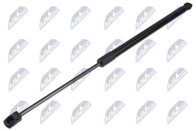 Dujinė spyruoklė, bagažinė