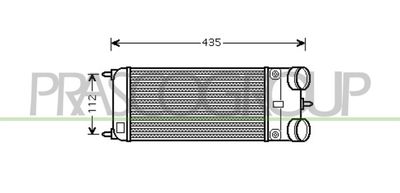 PRASCO CI324N002 Інтеркулер  для CITROËN DS3 (Ситроен Дс3)