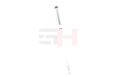 AMORTIZOR GH GH333001 19