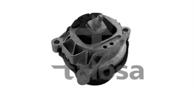 LAGERUNG MOTOR Talosa 6123109