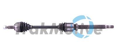 TrakMotive 30-0823 Сальник полуоси для RENAULT SCÉNIC II (JM0/1_) 1.6 (JM0C, JM0J, JM1B) TrakMotive 30-0823 Сальник полуоси для RENAULT SCÉNIC II (JM0/1_) 1.6 (JM0C, JM0J, JM1B)