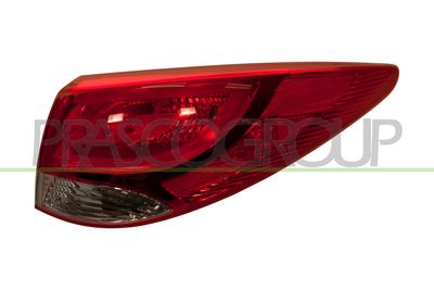 HECKLEUCHTE PRASCO HN8044163