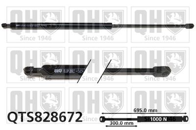 Газовая пружина, крышка багажник QUINTON HAZELL QTS828672 для RENAULT MASTER