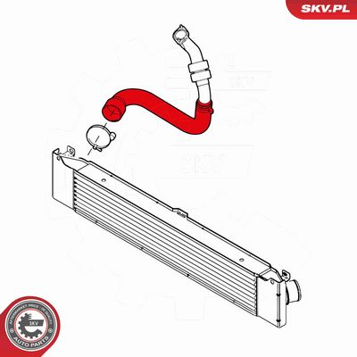 FURTUN EAR SUPRAALIMENTARE ESEN SKV 43SKV154 3