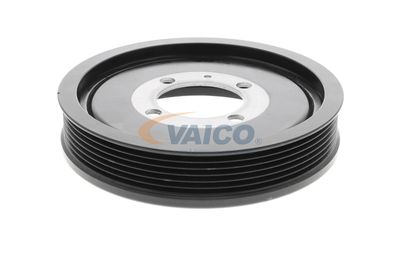 FULIE CUREA ARBORE COTIT VAICO V401178 25